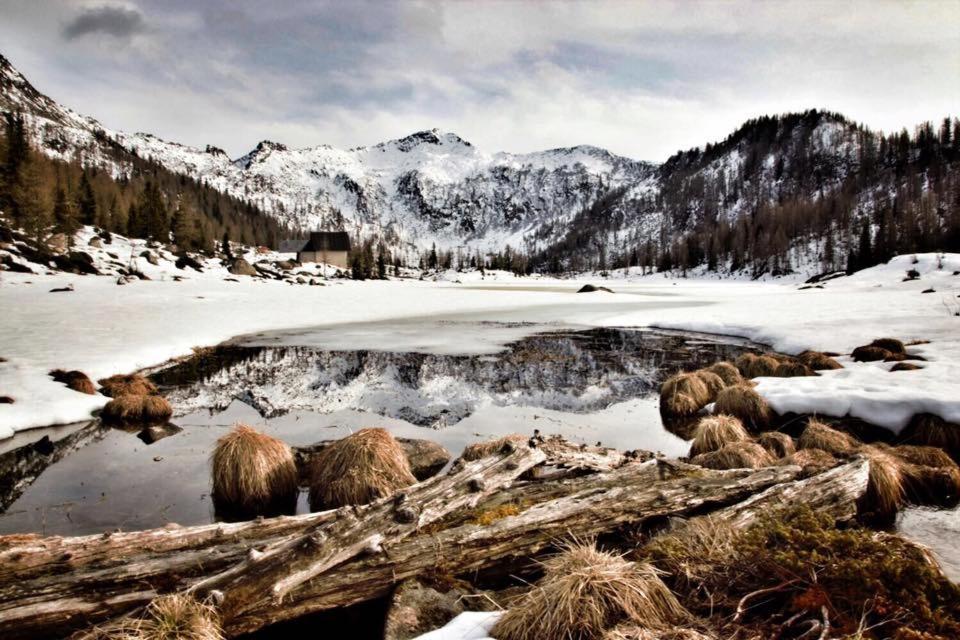 Villa Golf Pinzolo Bagian luar foto